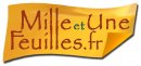 Logo mlle et une feuille