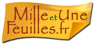 Logo mille et une feuille