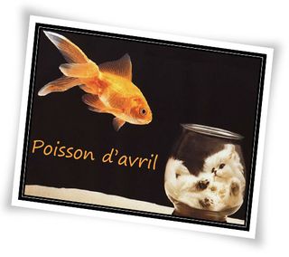 Photo poisson avril