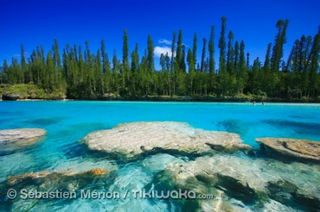 Piscine ile des pins