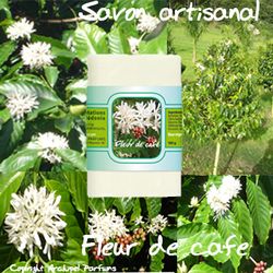 Savon fleur de café montage fleurs