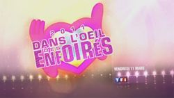 Dans l'oeil des enfoirés logo