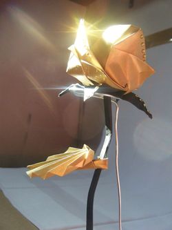 Origami rose_or_noir