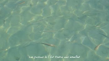 LES POISSONS copie